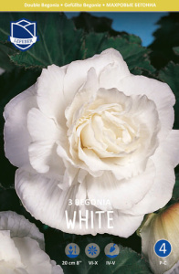 Бегония махровая XXL Double WHITE /3шт купить