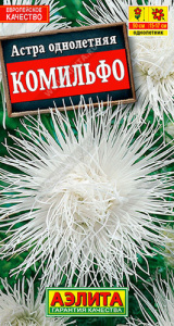 Астра Комильфо игольчатая купить
