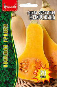 Тыква мускатная Жемчужина купить