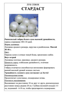 Лук Стардаст фото А5 купить