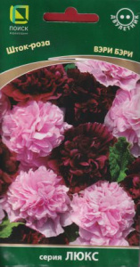 Шток-роза Вэри Бэри  купить
