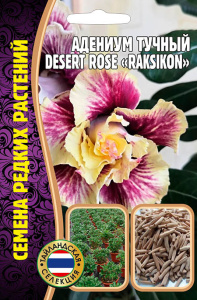 Адениум Роза Пустыни Раксикон (Raksikon) купить