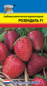 Клубника Розендаль F1  купить