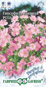 Гипсофила изящная Роза  купить