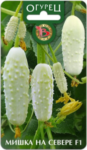 Огурец Мишка на Севере купить
