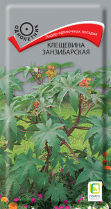 Клещевина занзибарская  купить