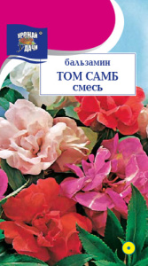 Бальзамин Том Самб Смесь  купить