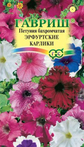 Петуния Эрфуртские карлики бахромчатая  купить