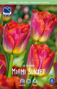 Тюльпан бахромчатый "Miami Sunset" (1х10шт) купить
