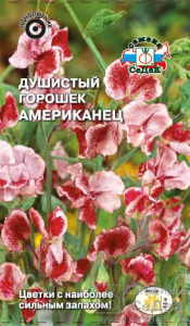 Душистый горошек Американец купить