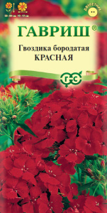 Гвоздика Красная турецкая купить