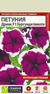 Петуния Дримс F1 Бургунди пикоти  купить