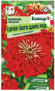 Цинния изящная Супер Йога Дарк Ред  купить