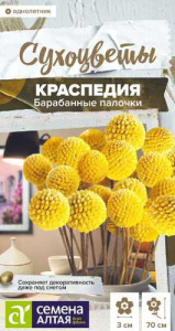 Краспедия Барабанные палочки шаровидная  Сухоцветы купить