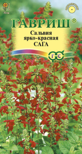 Сальвия Сага ярко- красная  купить