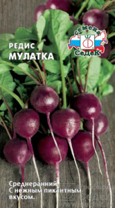 Редис Мулатка  купить