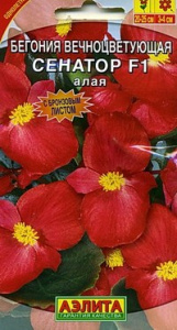 Бегония Сенатор алая F1 вечноцветущая  купить