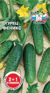 Огурец Феникс (серия 2+1)  купить