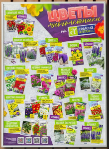 Плакат Цветы многолетники 2024 купить