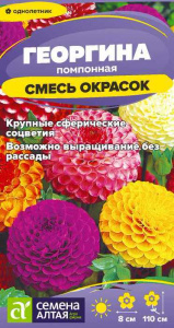 Георгина Помпонная Смесь купить