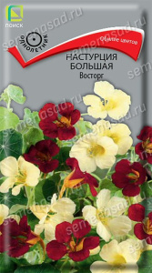Настурция большая Восторг купить