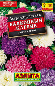 Астра Балконный карлик, смесь сортов купить