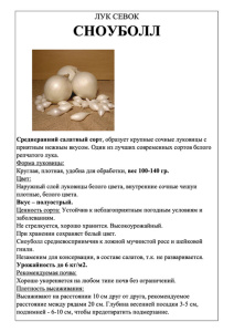 Лук Сноуболл фото А5 купить