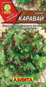 Салат Каравай листовой  купить