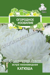 Астра Катюша (ОИ) пионовидная купить