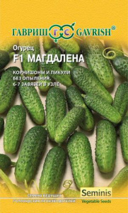 Огурец Магдалена  F1  купить