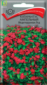 Катарантус ампельный Медитерранеан Ред купить