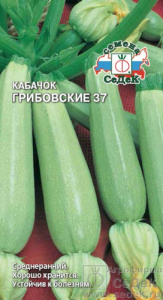 Кабачок Грибовские 37  купить