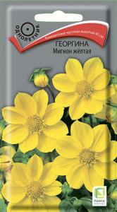 Георгина Мигнон желтая купить