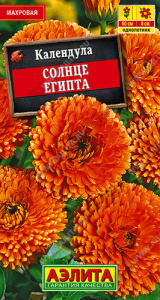 Календула Солнце Египта махровая  купить