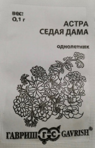 Астра Седая дама б/п купить