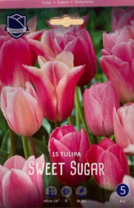 Смесь тюльпанов "Sweet Sugar" (1х15шт) купить