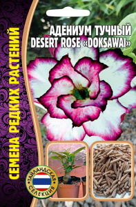 Адениум Роза Пустыни Доксавай (Desert Rose Doksawai) купить