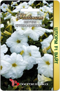 Петуния Шторм Уайт F1 крупноцветковая купить