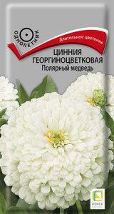 Цинния Полярный медведь георгиноцветковая купить