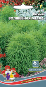 Кохия Волшебная Метла  купить