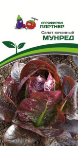 Салат Мунред кочанный купить