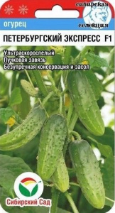 Огурец Петербургский экспресс F1  купить