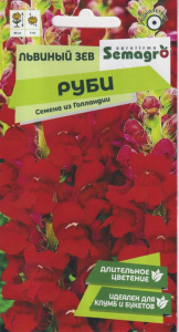 Львиный зев Руби купить