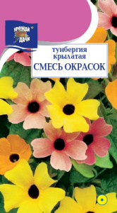Тунбергия Смесь окрасок купить