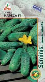 Огурец Мареса F1 купить