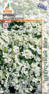 Арабис Снежный коврик  купить