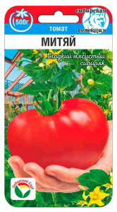 Томат Митяй  купить