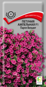 Петуния Парпл Вельвет F1 ампельная купить