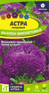Астра Баллон Фиолетовая купить