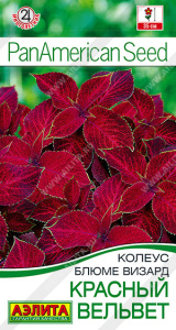 Колеус блюме Красный вельвет  купить